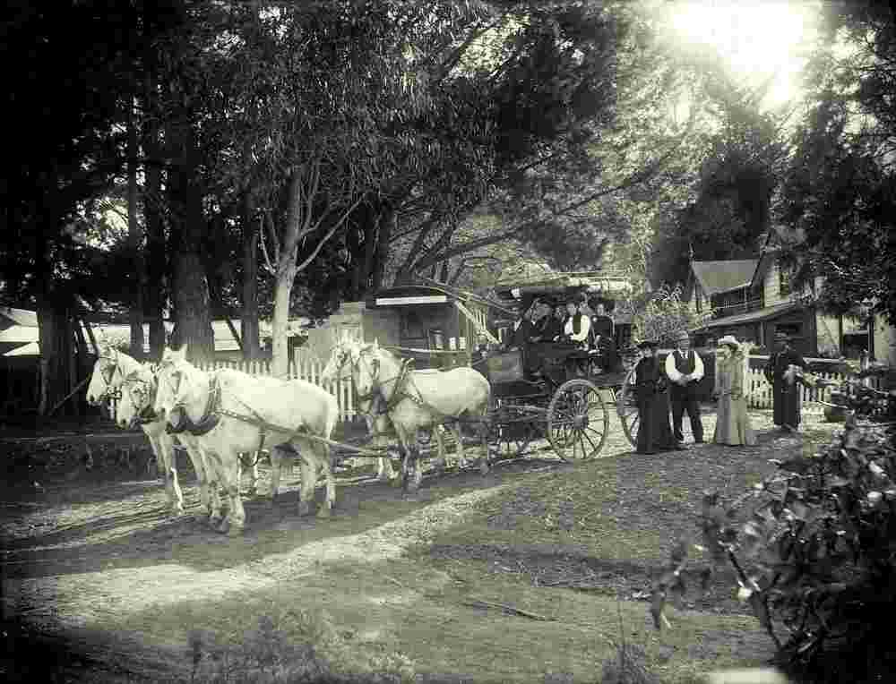 Tauranga. Horse drawn coach and passengers, circa 1906