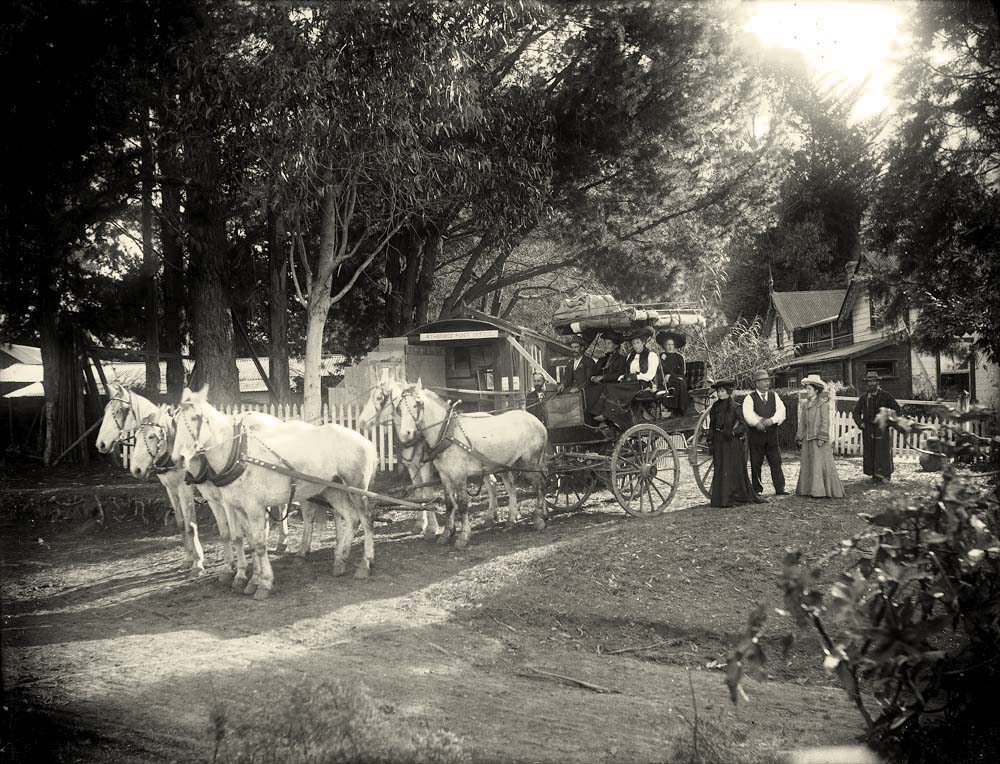 Tauranga. Horse drawn coach and passengers