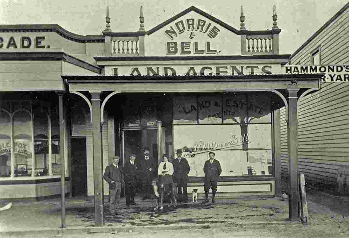 Tauranga. Norris and Bell, Land Agents
