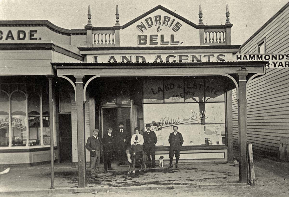 Tauranga. Norris and Bell, Land Agents